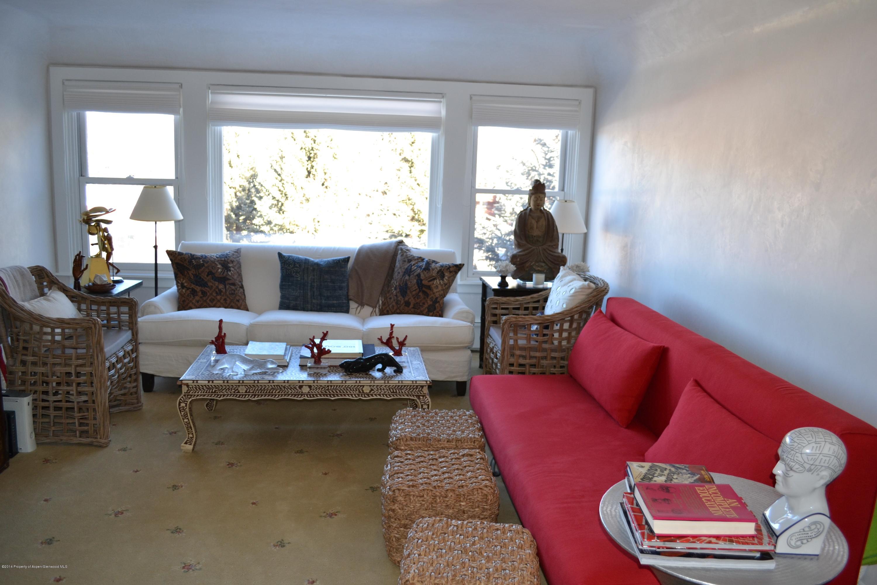 1041 Vine Street Aspen, CO 81611 - Photo 4 of 16 a living room with furniture and a large window