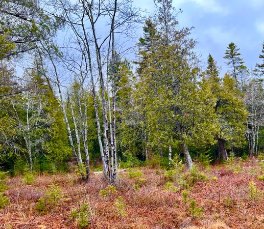 $249,900 | Lot 77 Long Hill Rd Harbor, Southwest Harbor, ME 04679