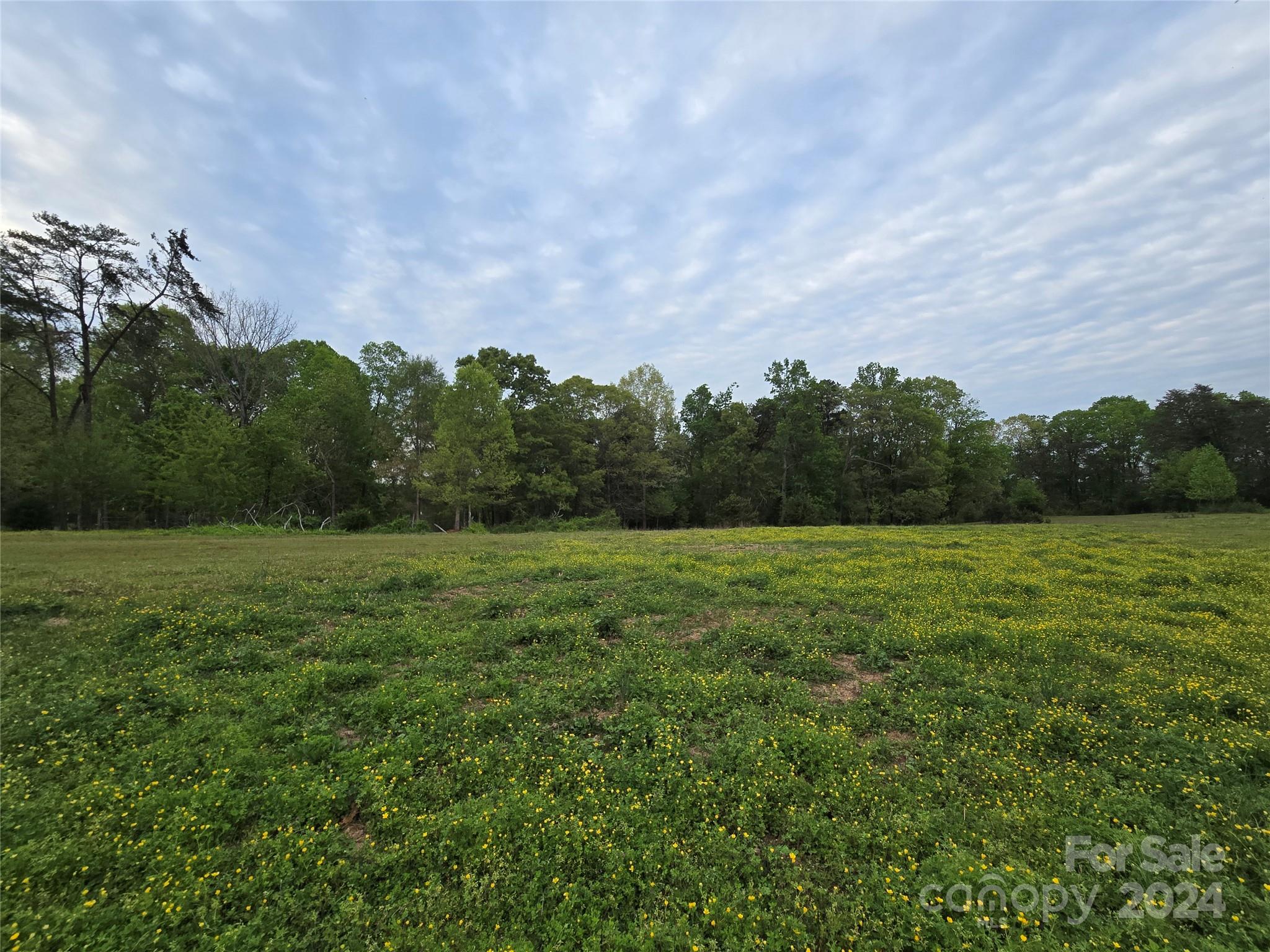 0 Stewart Road Claremont, NC 28610 - Photo 2 of 4 a view of a field of grass and trees