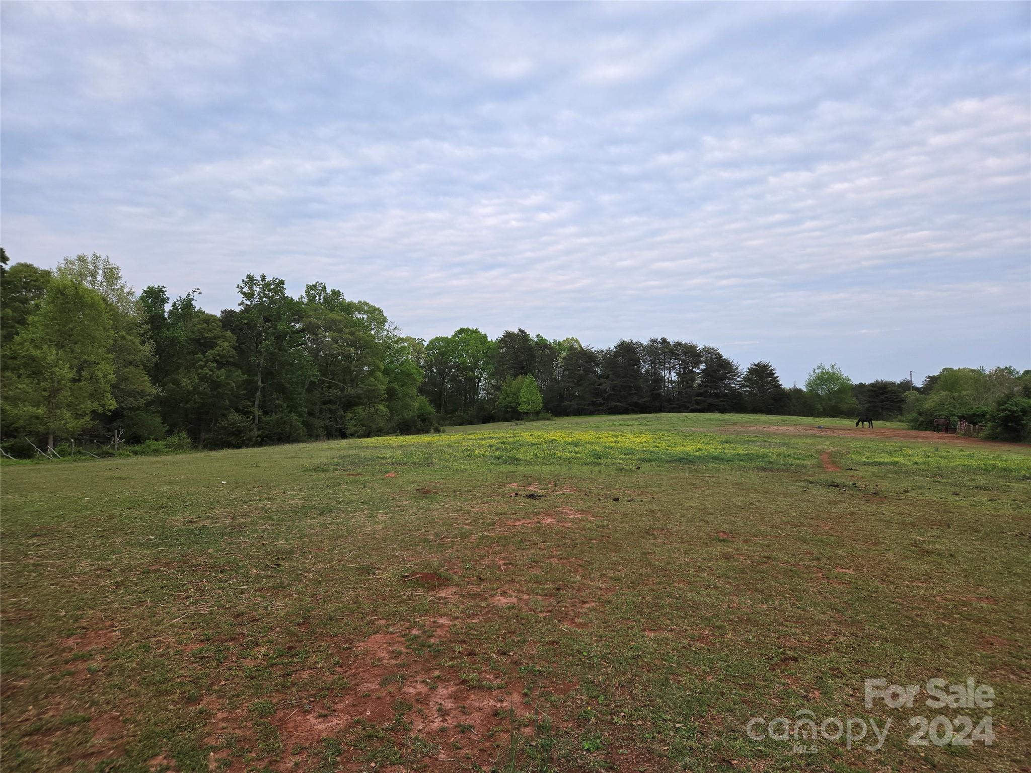 0 Stewart Road Claremont, NC 28610 - Photo 3 of 4 a view of a field with trees in background