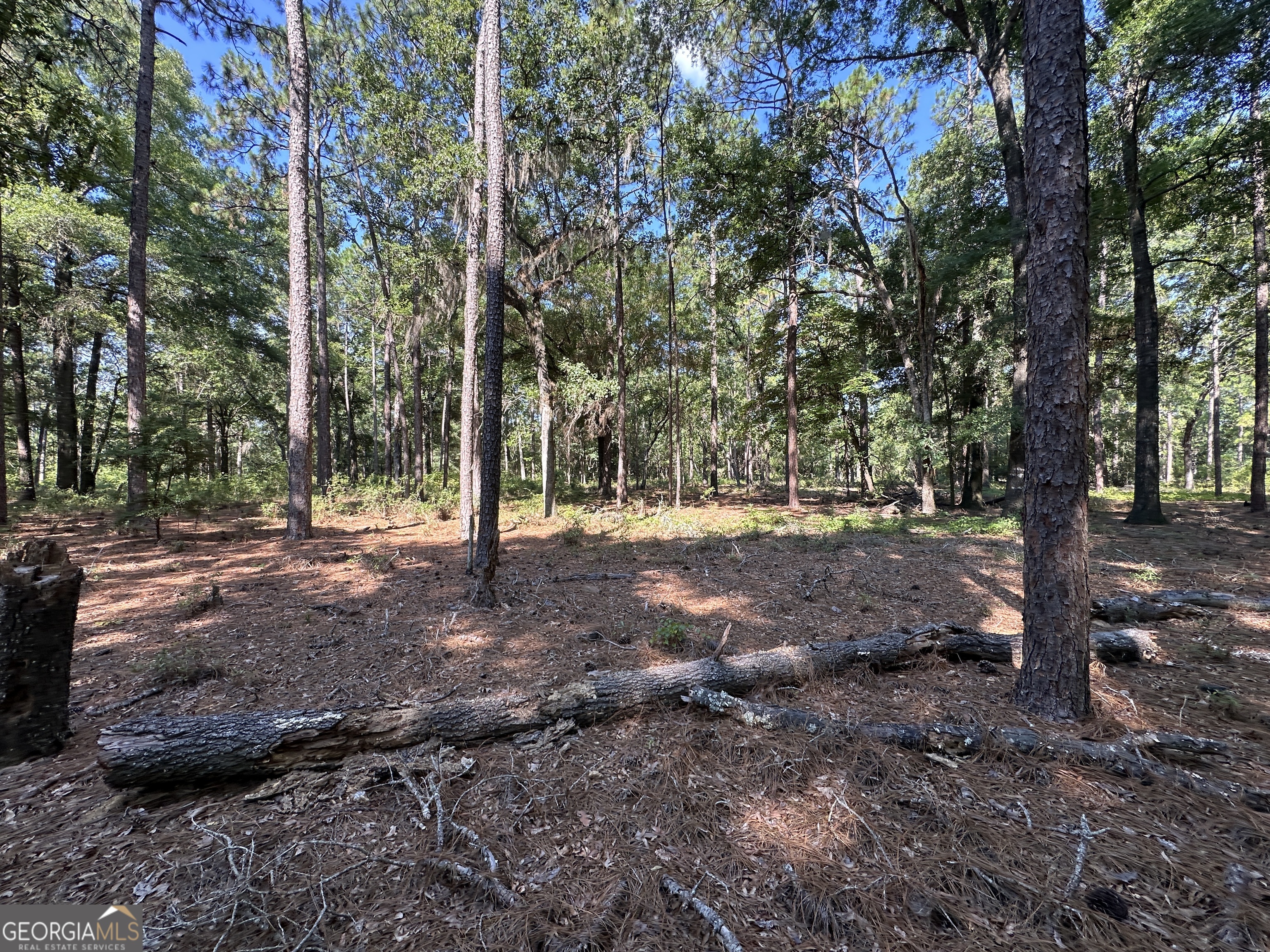 3852 Poor Robin Road Sylvania, GA 30467 - Photo 24 of 24