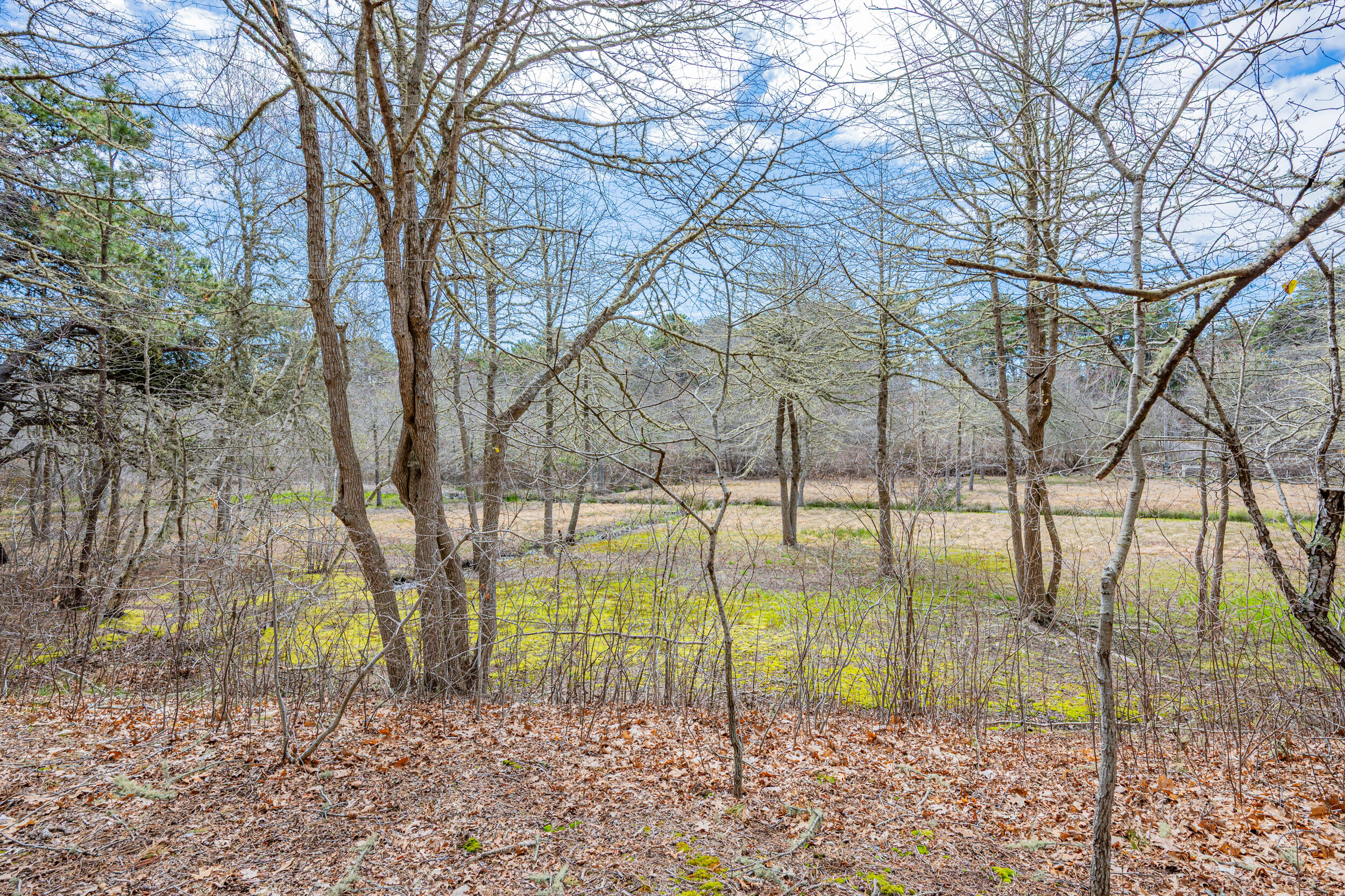 40 Uncle Nate's Way Eastham, MA 02642 - Photo 51 of 58 49