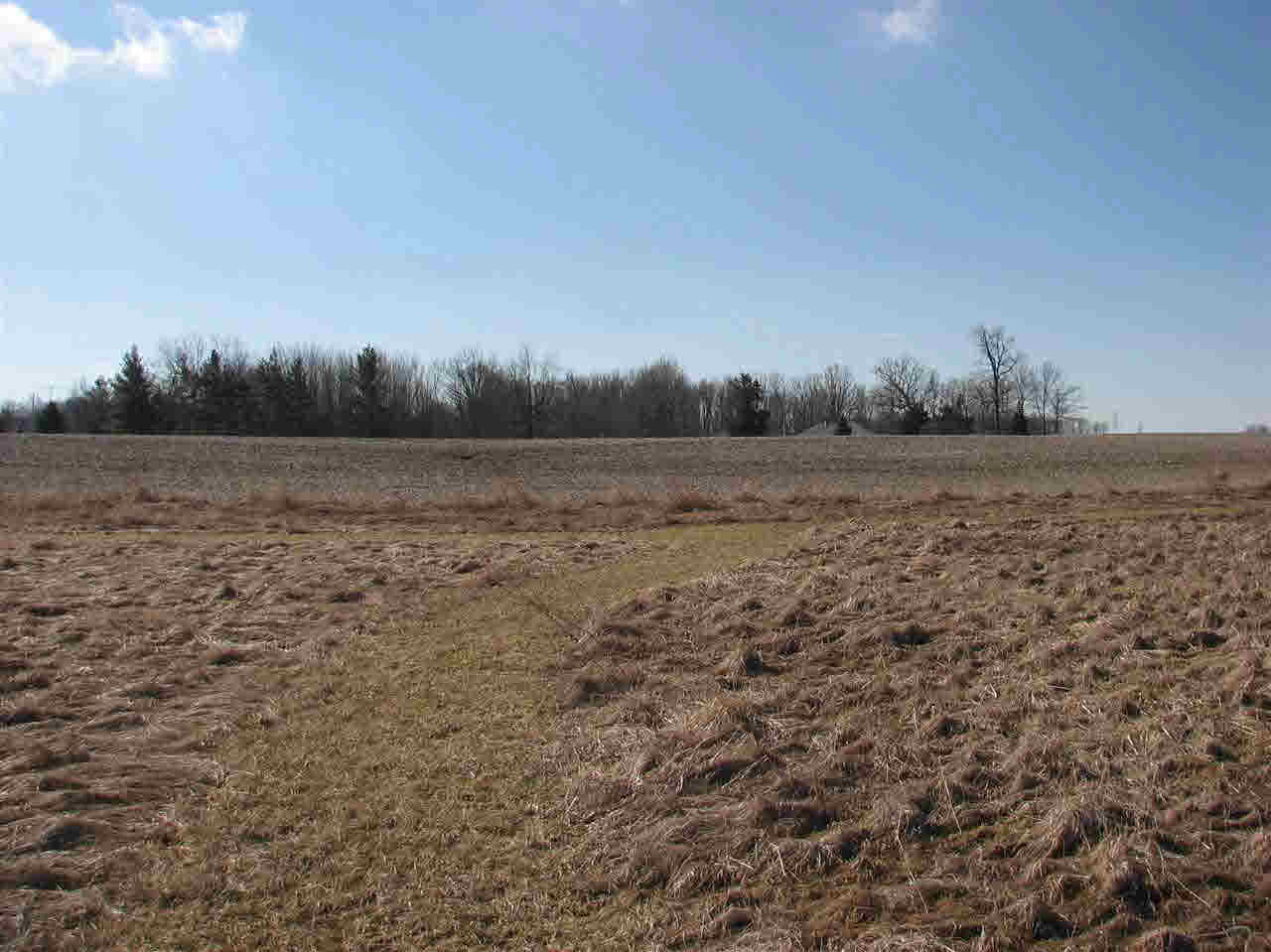 Tract #2 East Clifton Road Albany, IN 47320 - Photo 7 of 11 Gallery Image 7