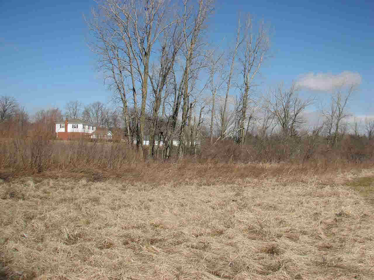 Tract #2 East Clifton Road Albany, IN 47320 - Photo 8 of 11 Gallery Image 8