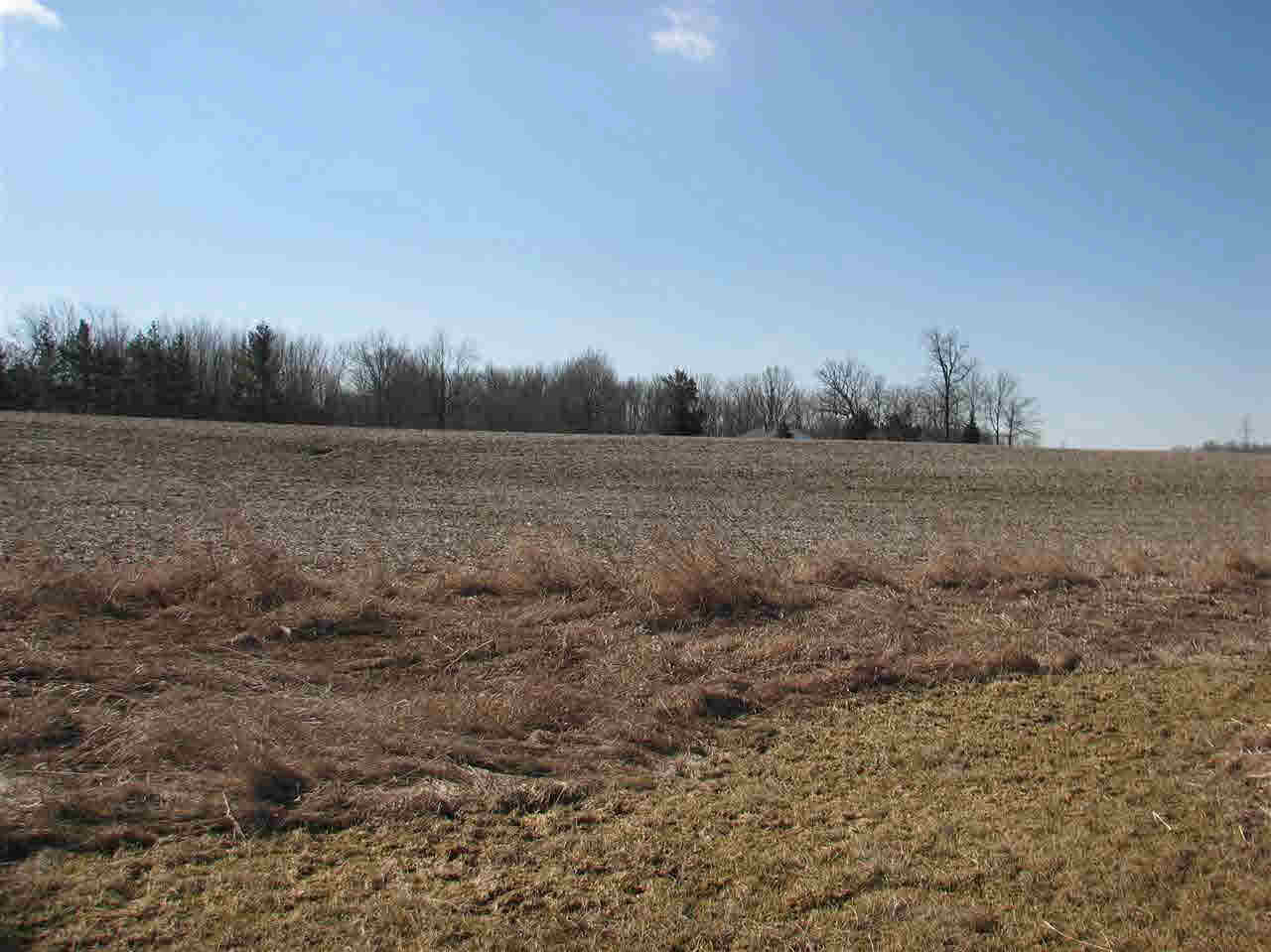 Tract #2 East Clifton Road Albany, IN 47320 - Photo 9 of 11 Gallery Image 9