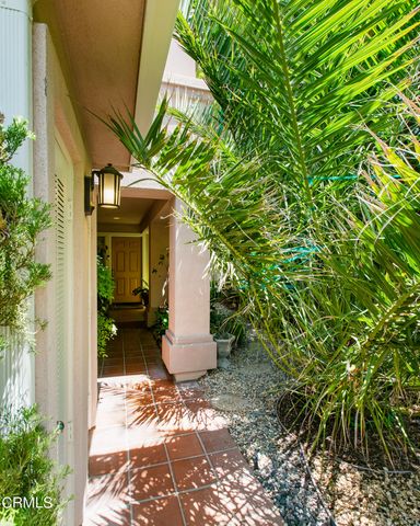 a view of a back yard of the house