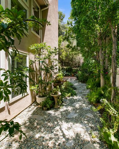 a view of a garden with plants