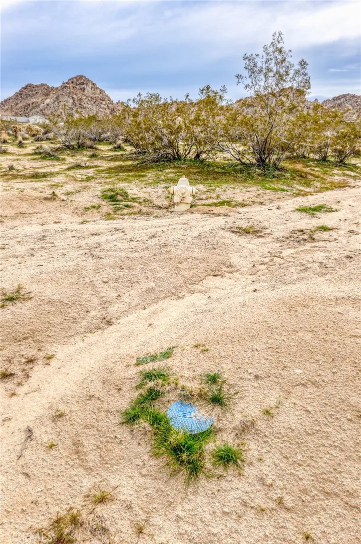 130 Hollinger Road Joshua Tree, CA 92252 - Photo 11 of 41