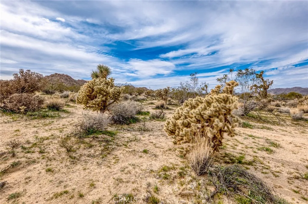130 Hollinger Road Joshua Tree, CA 92252 - Photo 13 of 41