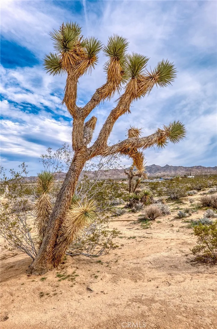 130 Hollinger Road Joshua Tree, CA 92252 - Photo 18 of 41