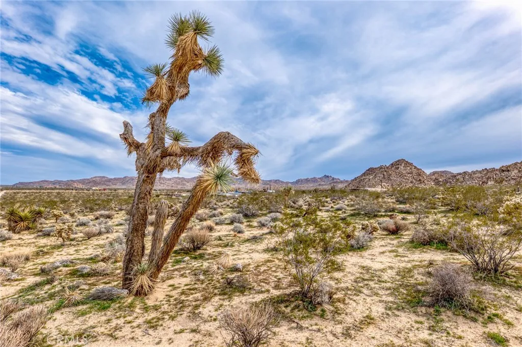 130 Hollinger Road Joshua Tree, CA 92252 - Photo 2 of 41