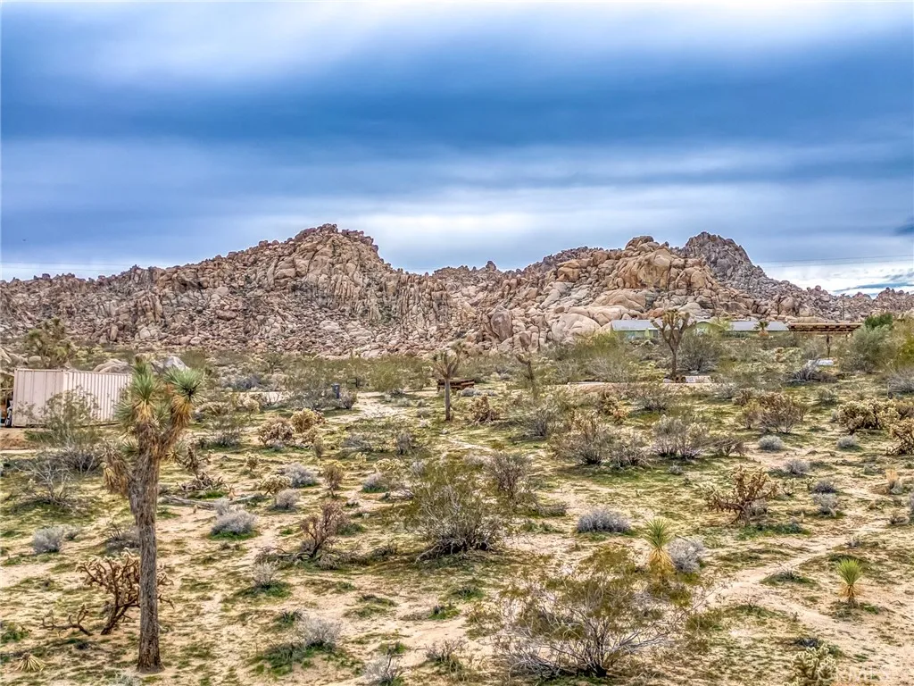 130 Hollinger Road Joshua Tree, CA 92252 - Photo 4 of 41