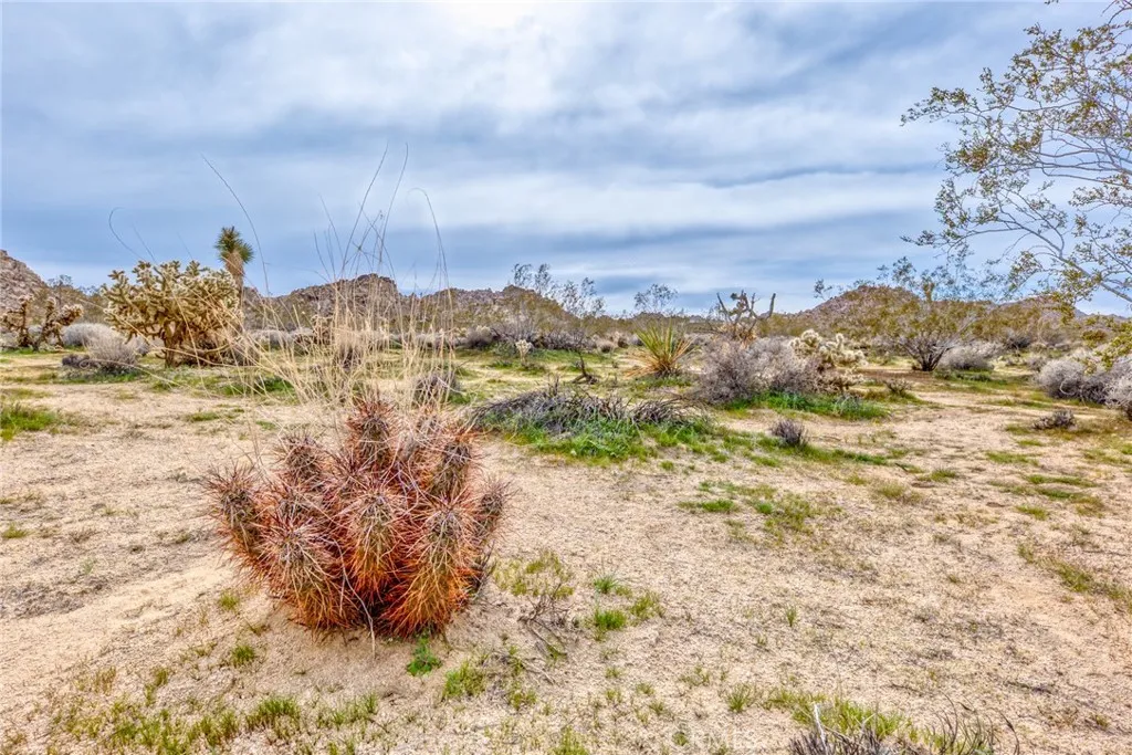 130 Hollinger Road Joshua Tree, CA 92252 - Photo 8 of 41
