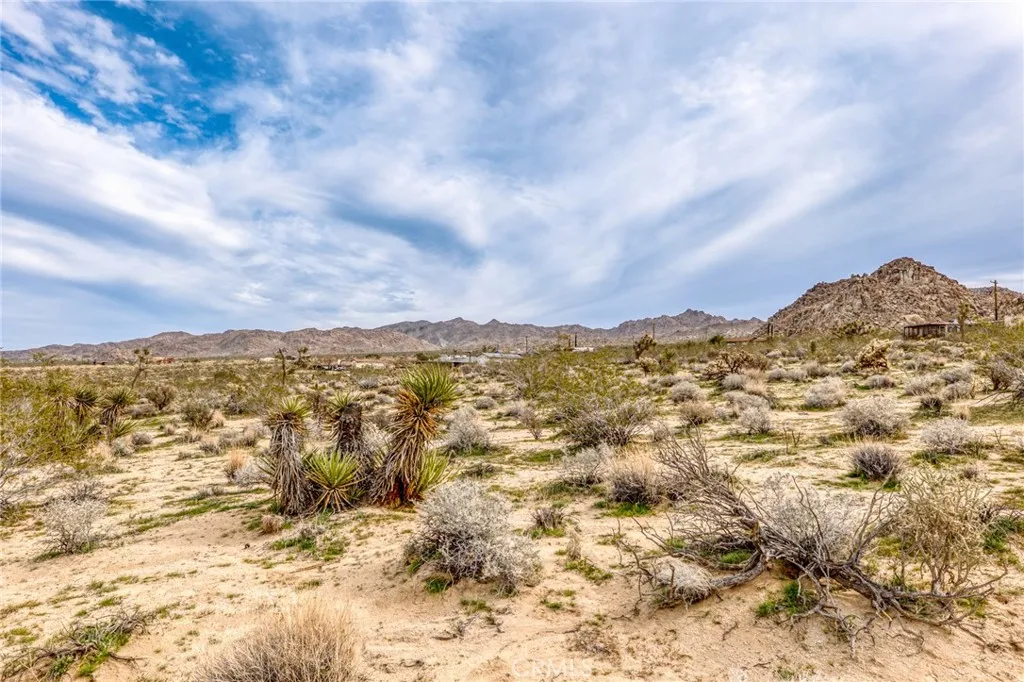 130 Hollinger Road Joshua Tree, CA 92252 - Photo 10 of 41