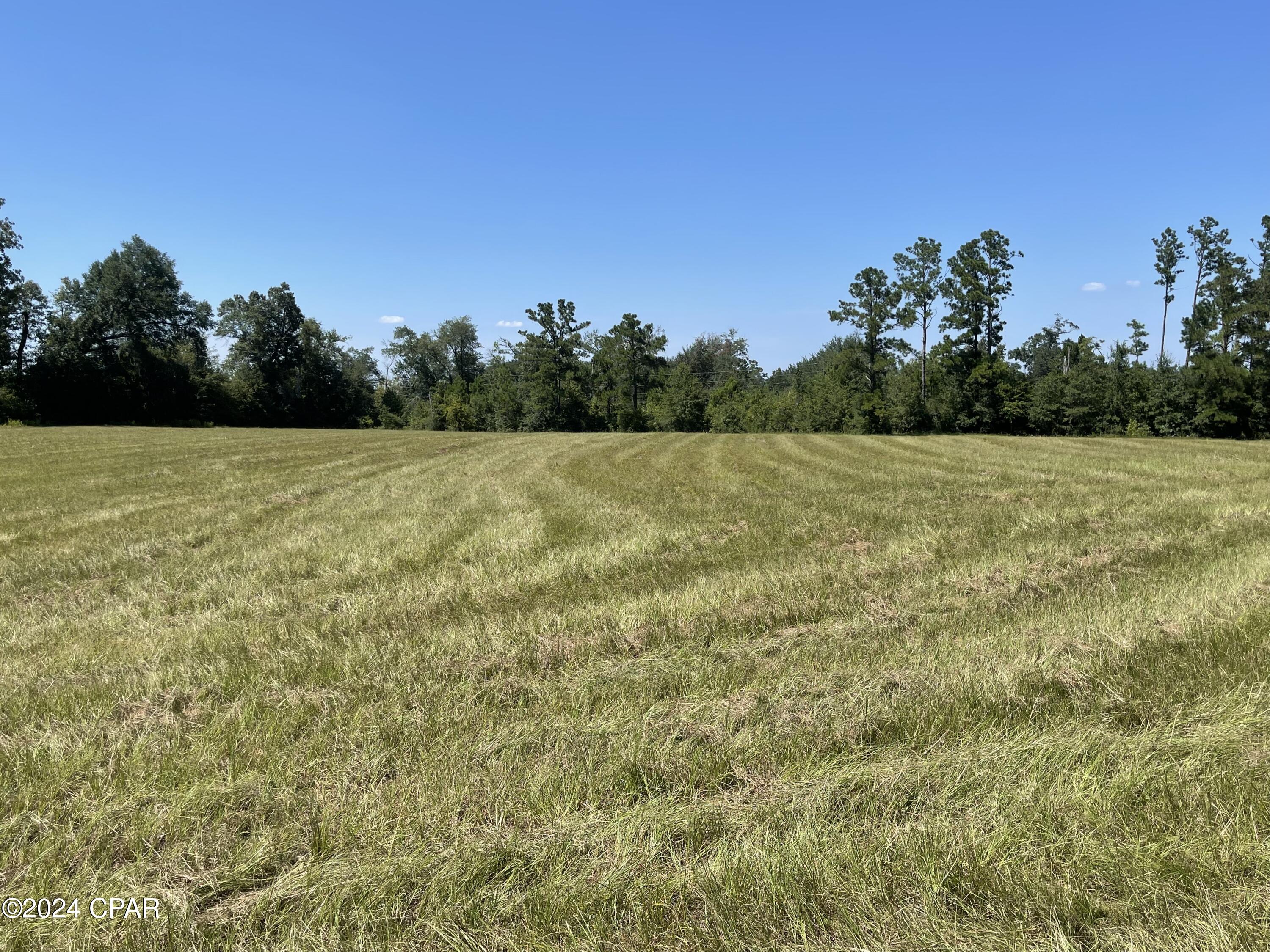 2194 Bethlehem Road Cottondale, FL 32431 - Photo 4 of 10