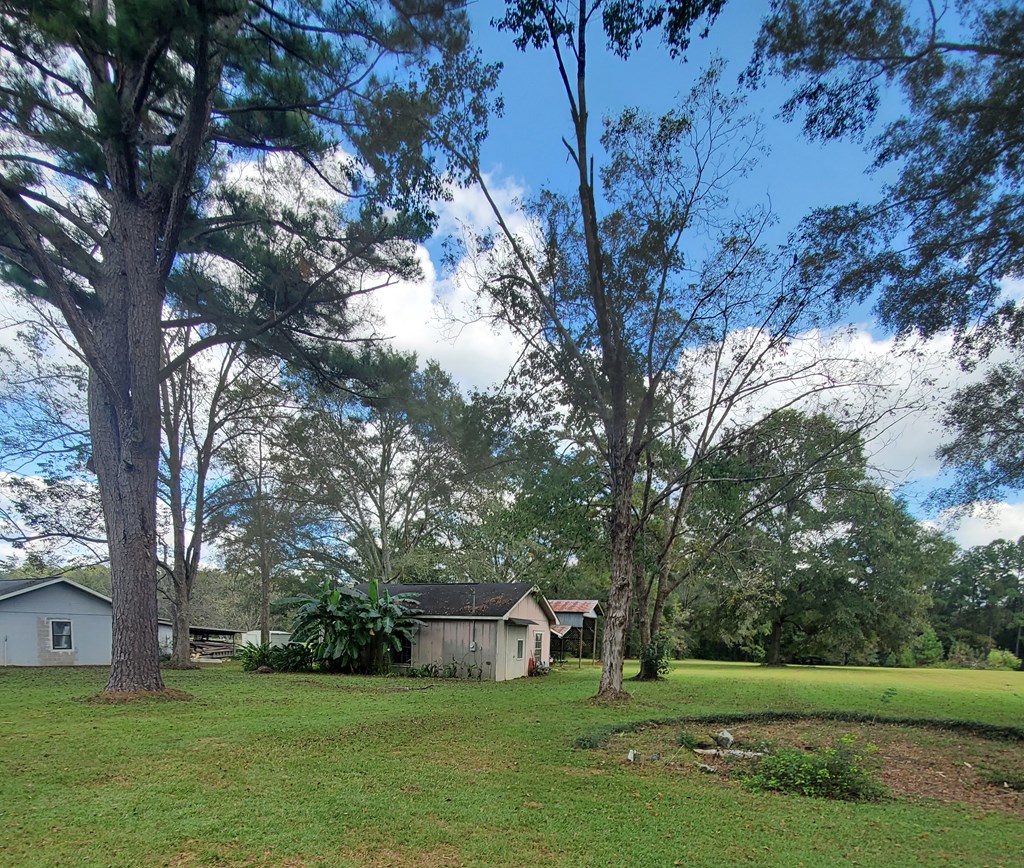5493 Hodgesville Road Dothan, AL 36301 - Photo 6 of 18