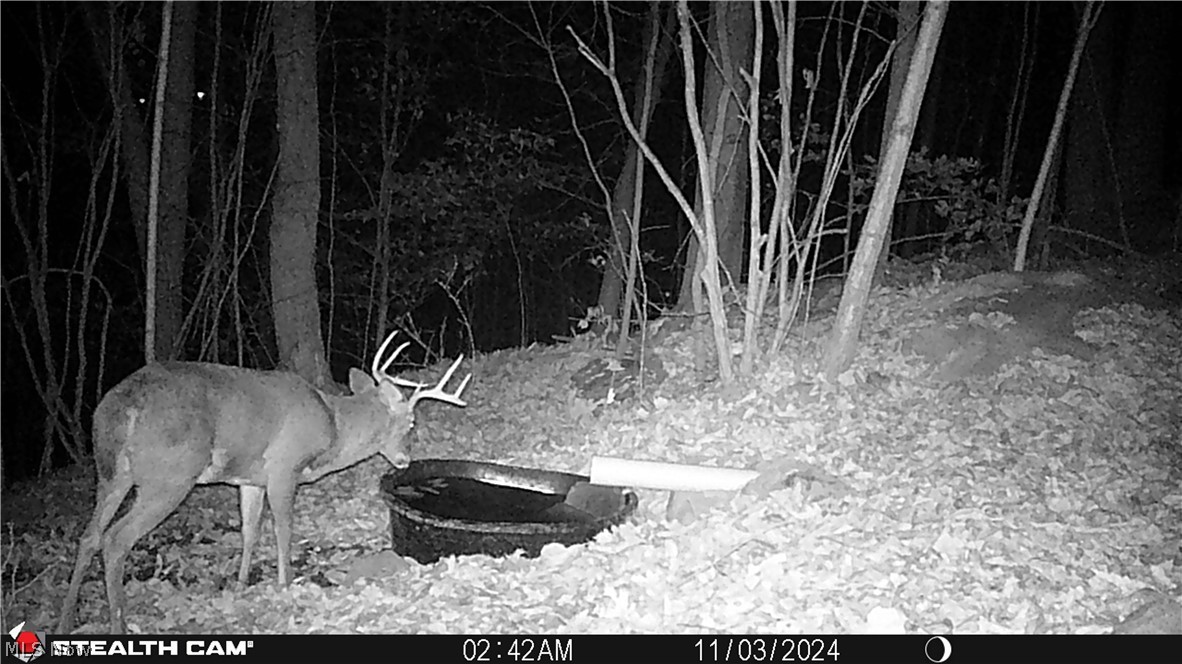 Boone Road Kimbolton, OH 43749 - Photo 28 of 30