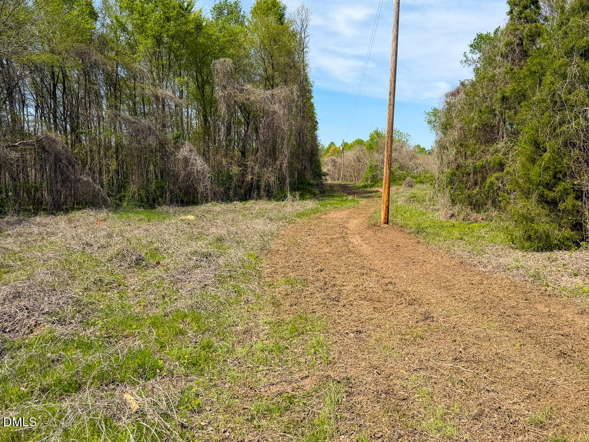 0 Pentecost Road Cedar Grove, NC 27231 - Photo 30 of 45