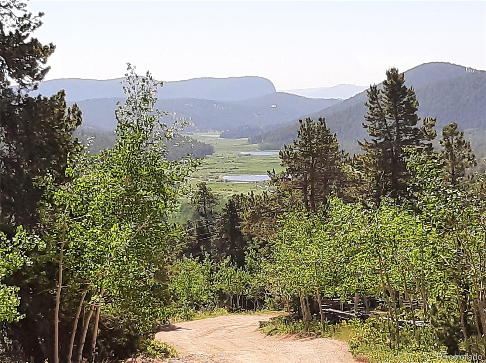 7335 County Road 43 Bailey, CO 80421 - Photo 1 of 14