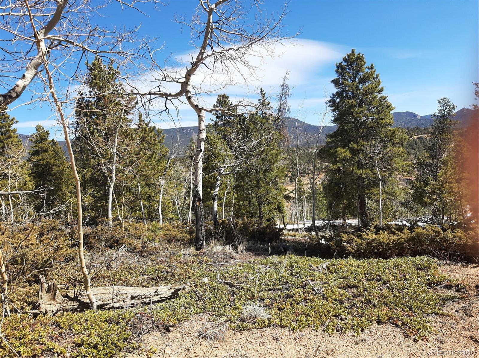 7335 County Road 43 Bailey, CO 80421 - Photo 11 of 14