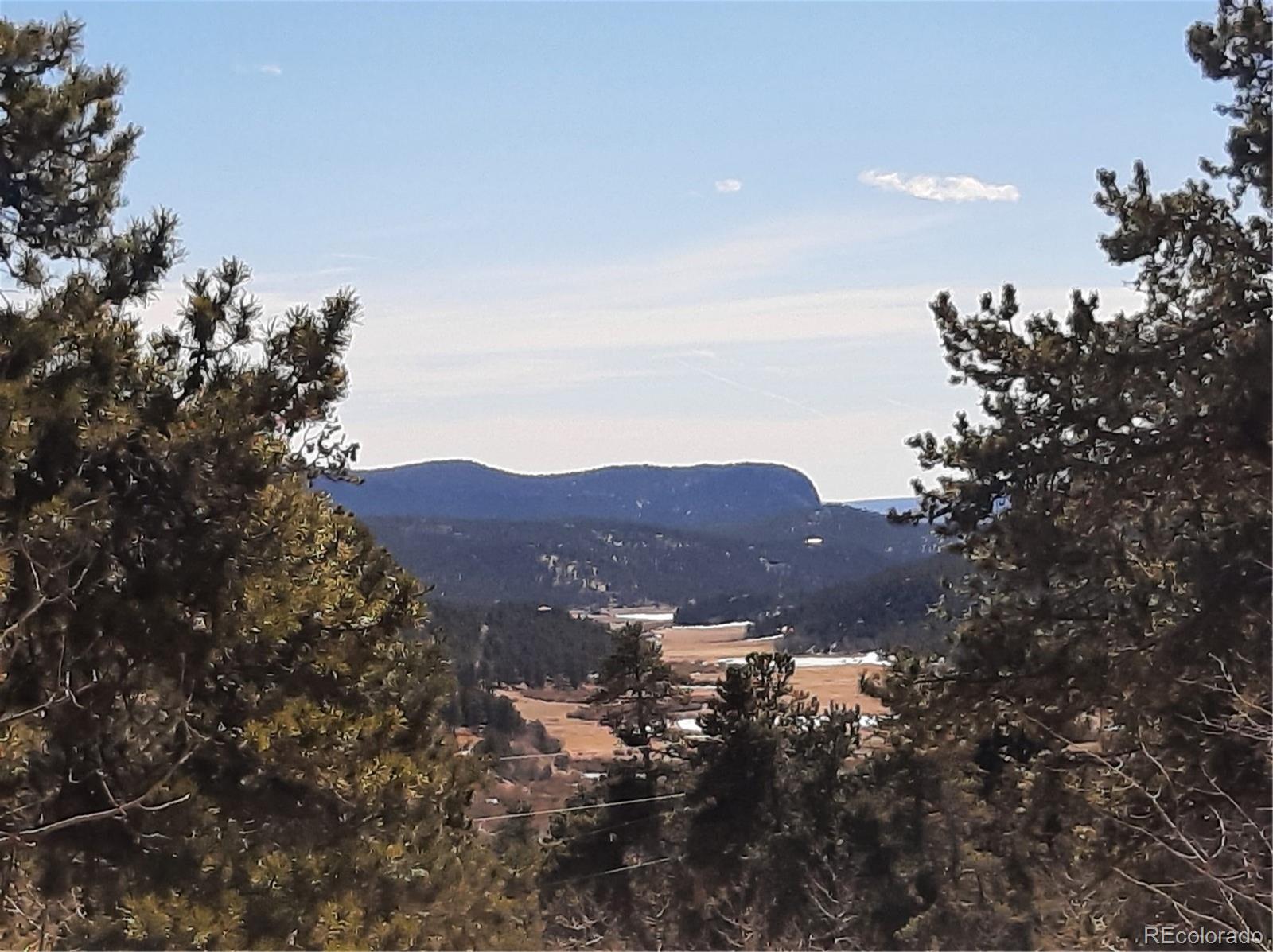 7335 County Road 43 Bailey, CO 80421 - Photo 12 of 14