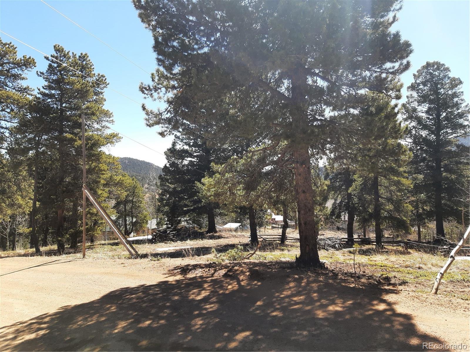 7335 County Road 43 Bailey, CO 80421 - Photo 13 of 14