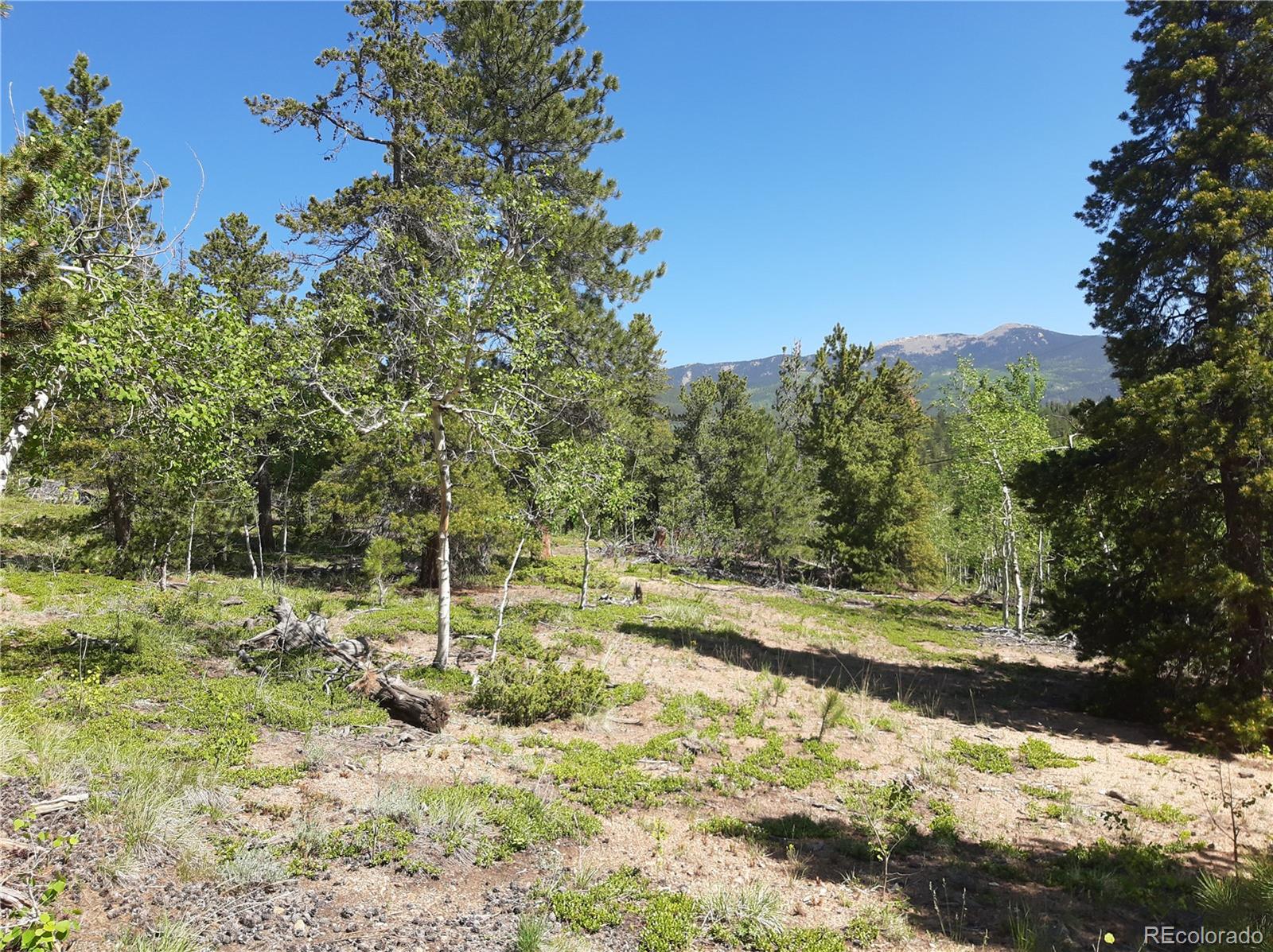 7335 County Road 43 Bailey, CO 80421 - Photo 2 of 14