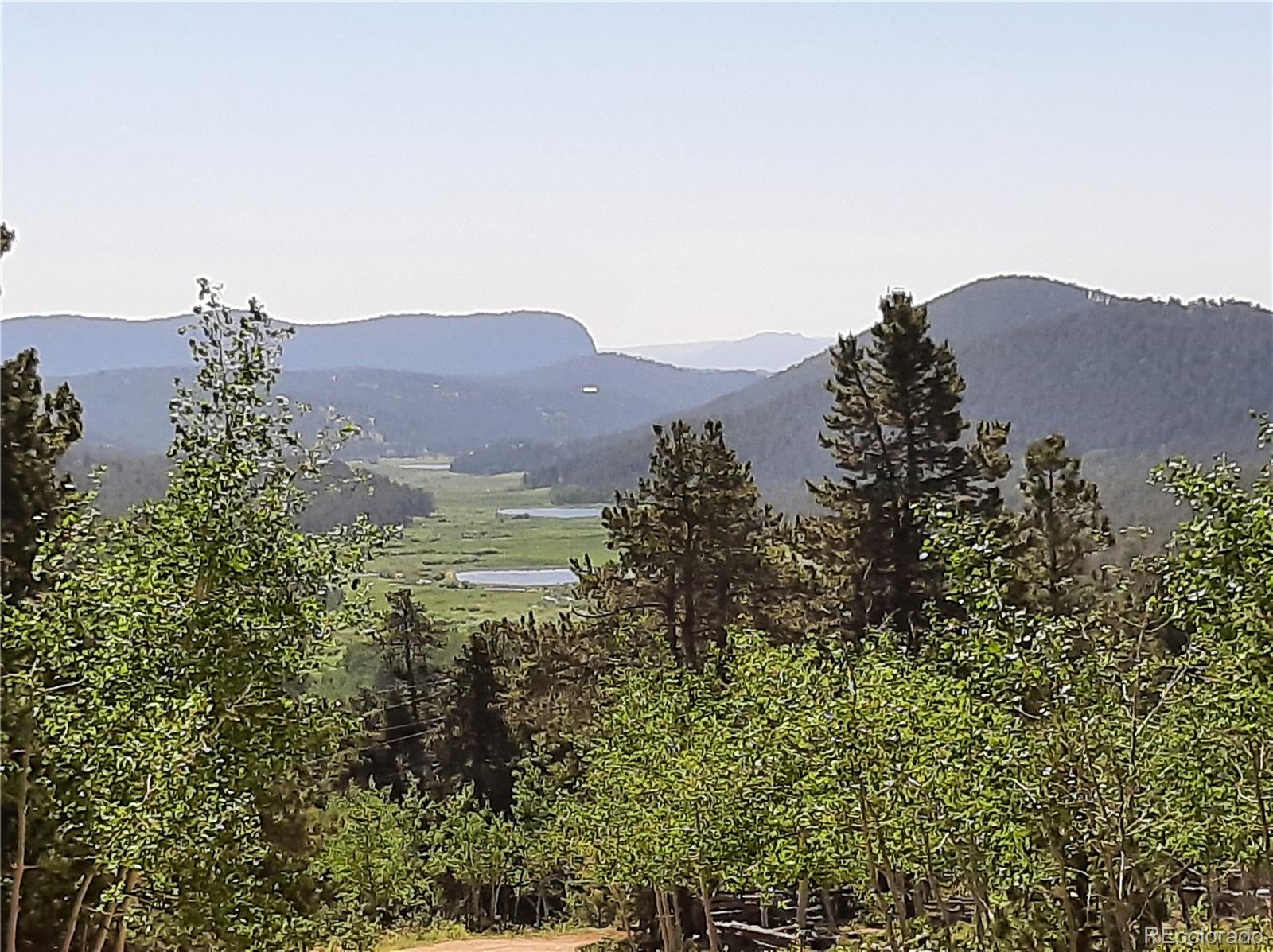 7335 County Road 43 Bailey, CO 80421 - Photo 3 of 14