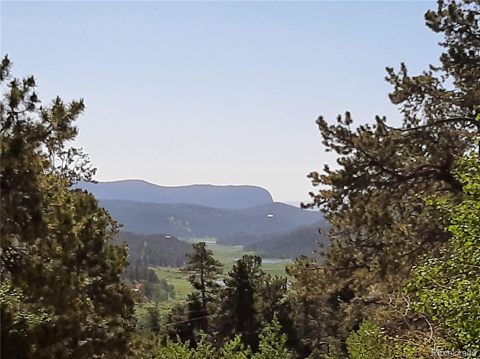 7335 County Road 43 Bailey, CO 80421 - Photo 4 of 14