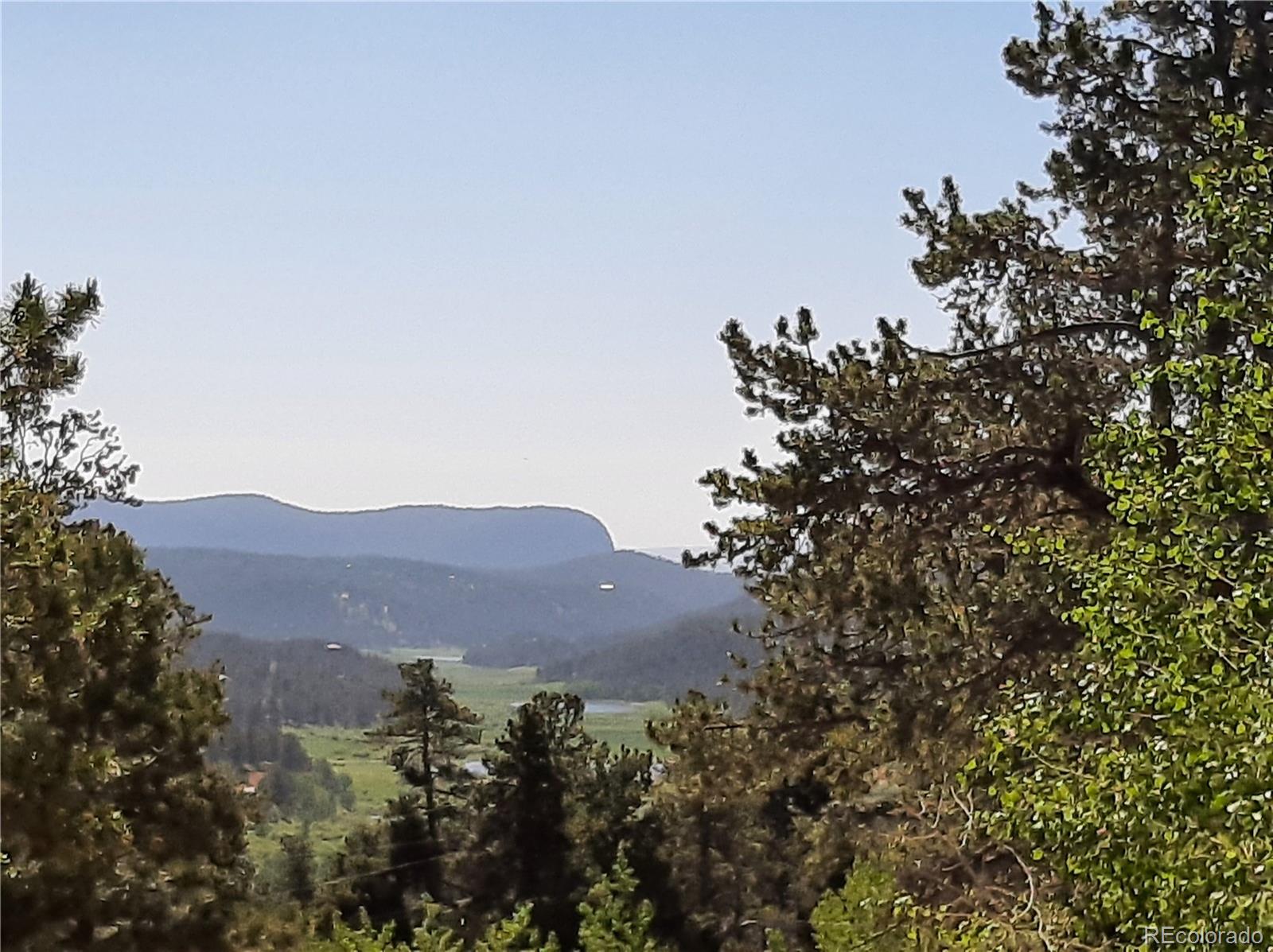 7335 County Road 43 Bailey, CO 80421 - Photo 6 of 14