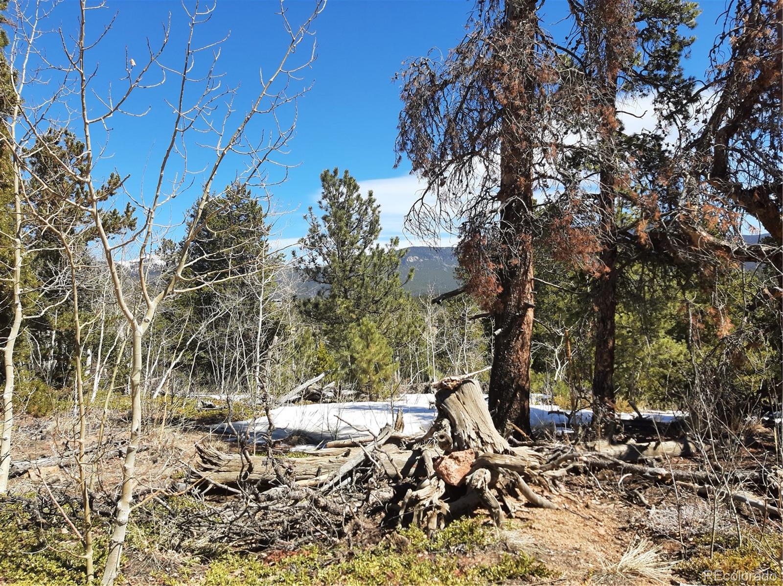 7335 County Road 43 Bailey, CO 80421 - Photo 8 of 14