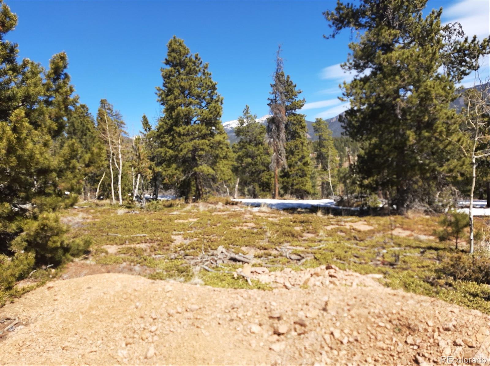 7335 County Road 43 Bailey, CO 80421 - Photo 9 of 14