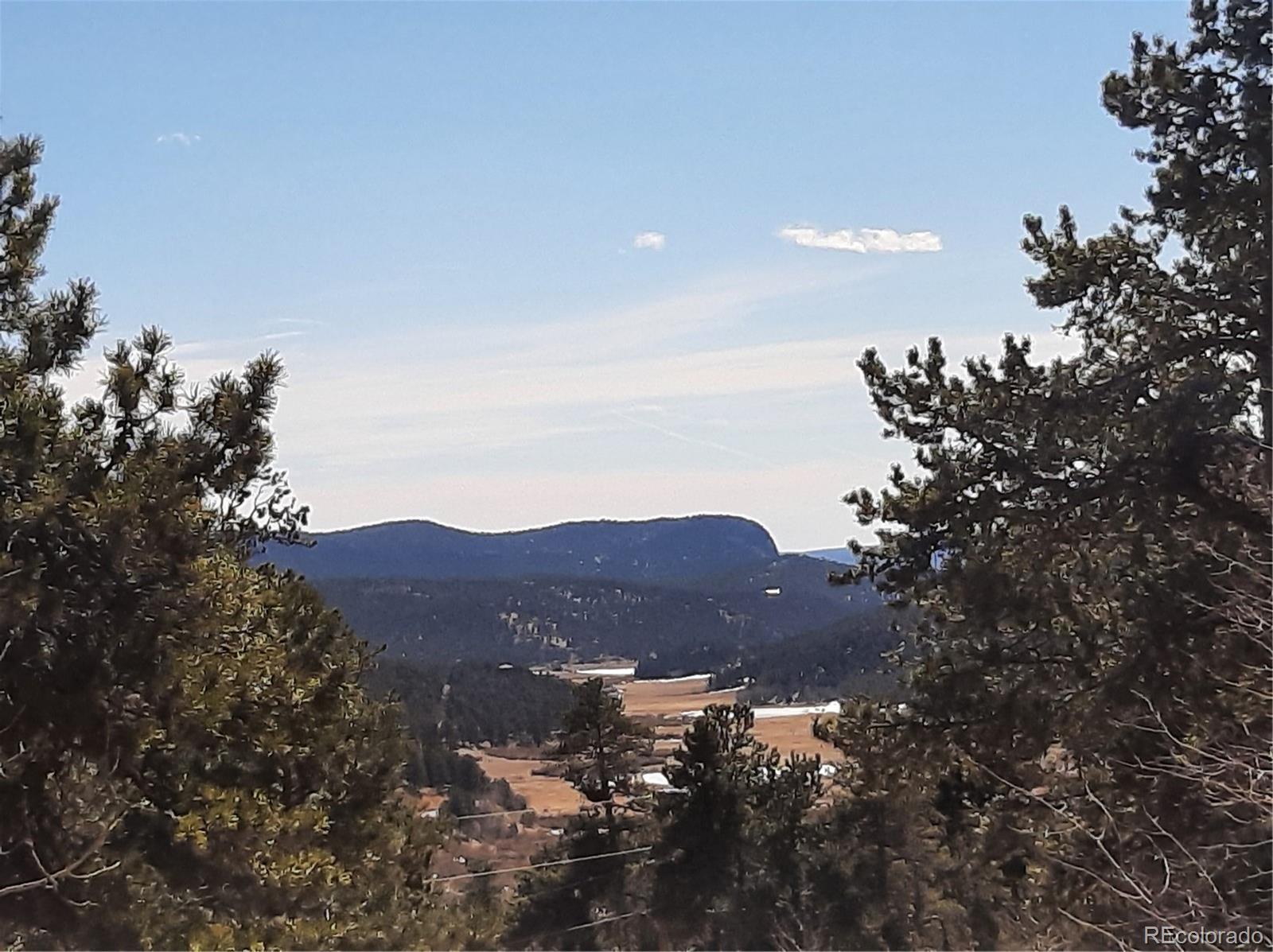 7335 County Road 43 Bailey, CO 80421 - Photo 10 of 14