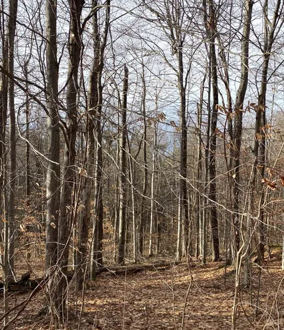 $154,000 | 6 Fred Johnson Circle, Unit 17, Middlebury, VT 05753