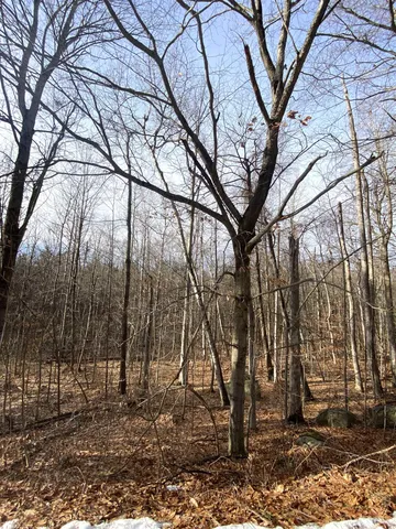 $154,000 | 6 Fred Johnson Circle, Unit 17, Middlebury, VT 05753