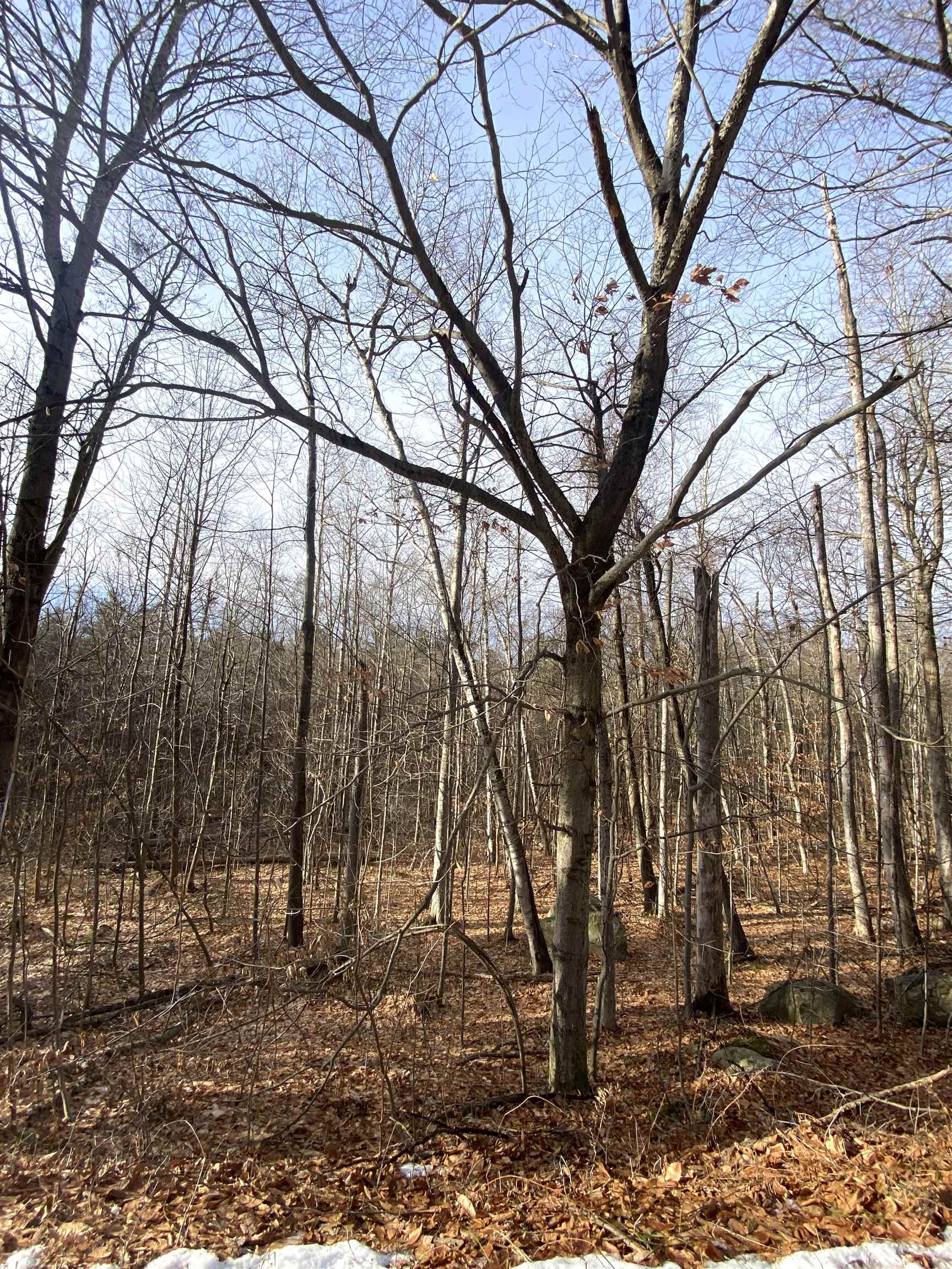 6 Fred Johnson Circle, Unit 17 Middlebury, VT 05753 - Photo 3 of 6