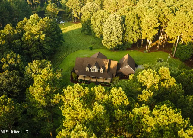 $665,000 | 741 County Road 29, Louin, MS 39338