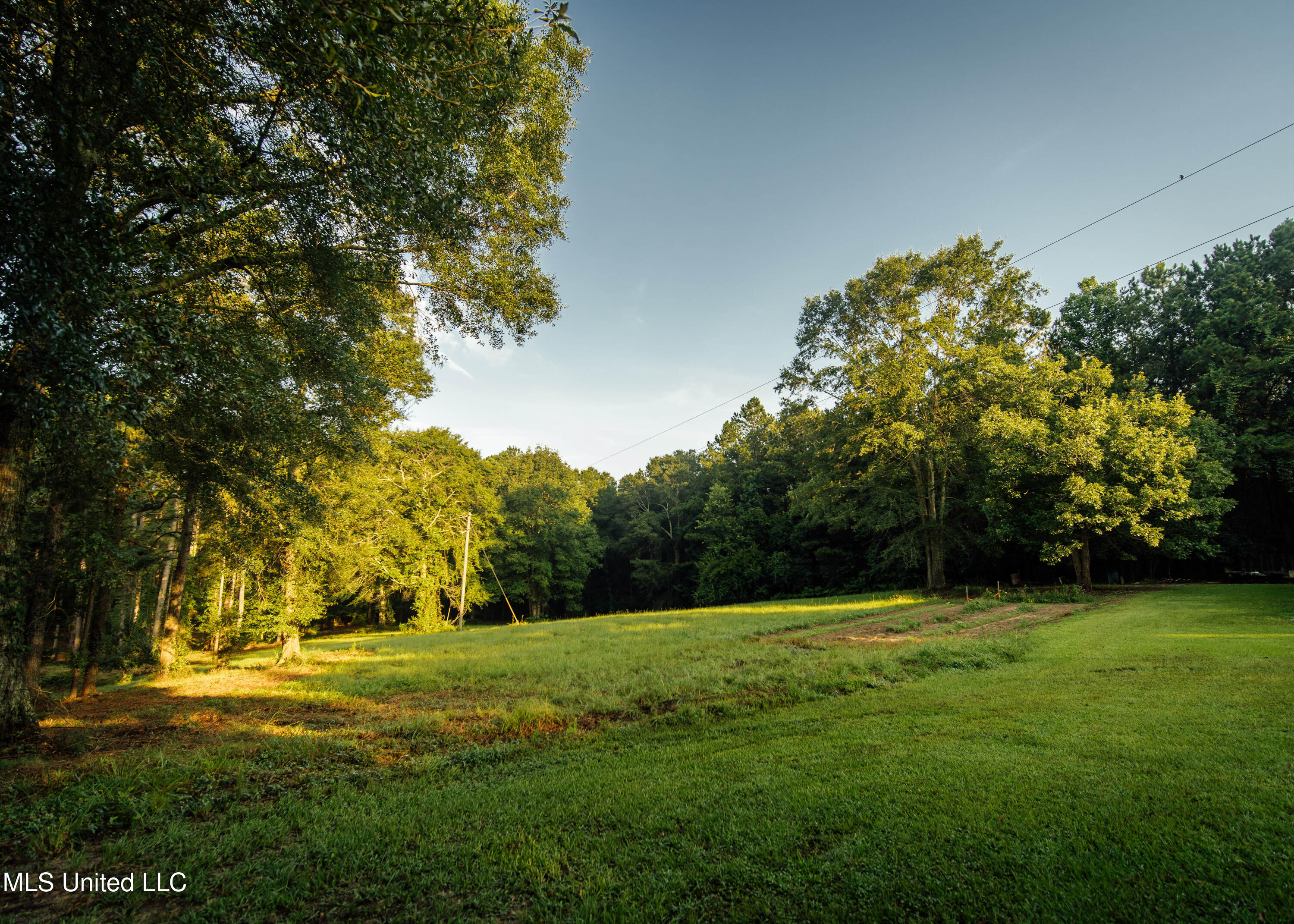 741 County Road 29 Louin, MS 39338 - Photo 11 of 45 Smalltown_Resize-10
