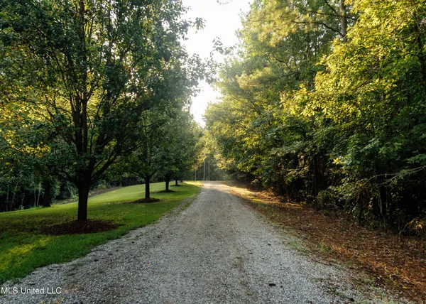 $665,000 | 741 County Road 29, Louin, MS 39338