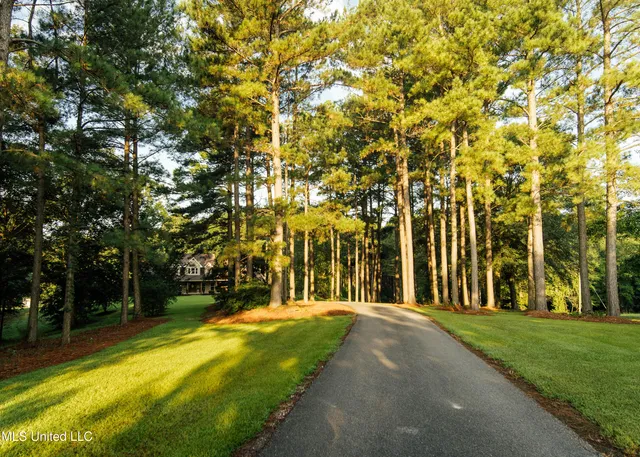 $665,000 | 741 County Road 29, Louin, MS 39338