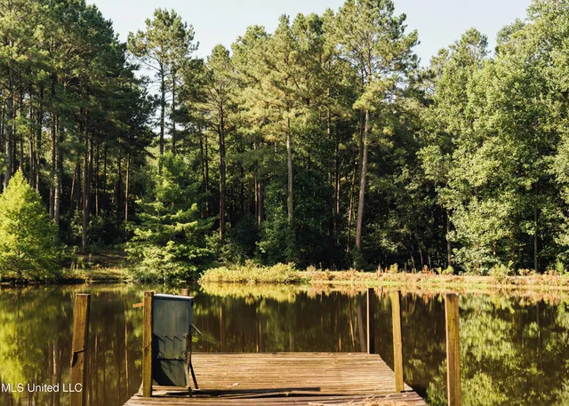 $665,000 | 741 County Road 29, Louin, MS 39338
