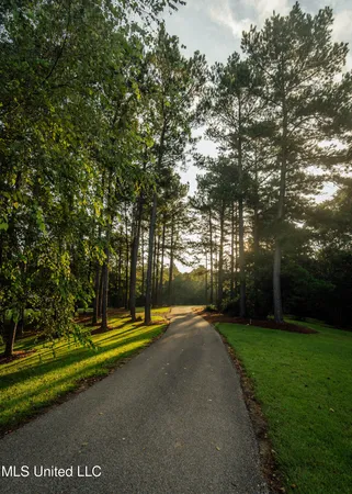 $665,000 | 741 County Road 29, Louin, MS 39338