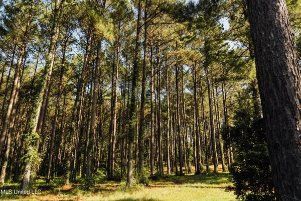 $665,000 | 741 County Road 29, Louin, MS 39338