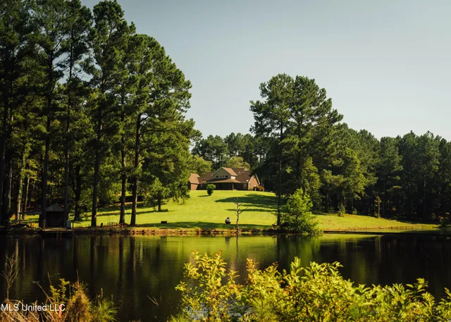 $665,000 | 741 County Road 29, Louin, MS 39338