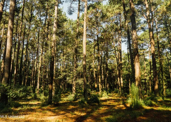 $665,000 | 741 County Road 29, Louin, MS 39338