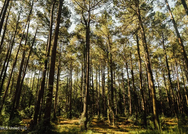 $665,000 | 741 County Road 29, Louin, MS 39338