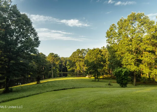 $665,000 | 741 County Road 29, Louin, MS 39338