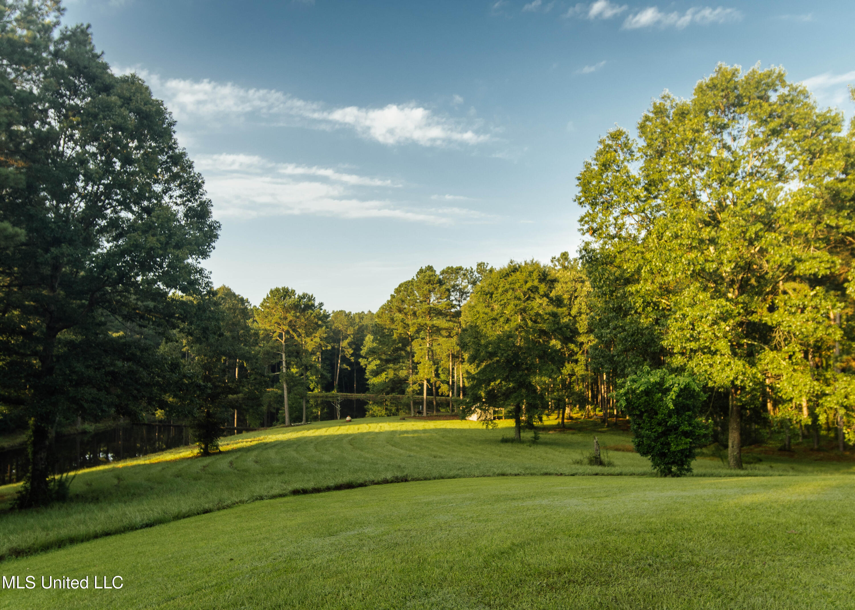 741 County Road 29 Louin, MS 39338 - Photo 6 of 45 Smalltown_Resize-5
