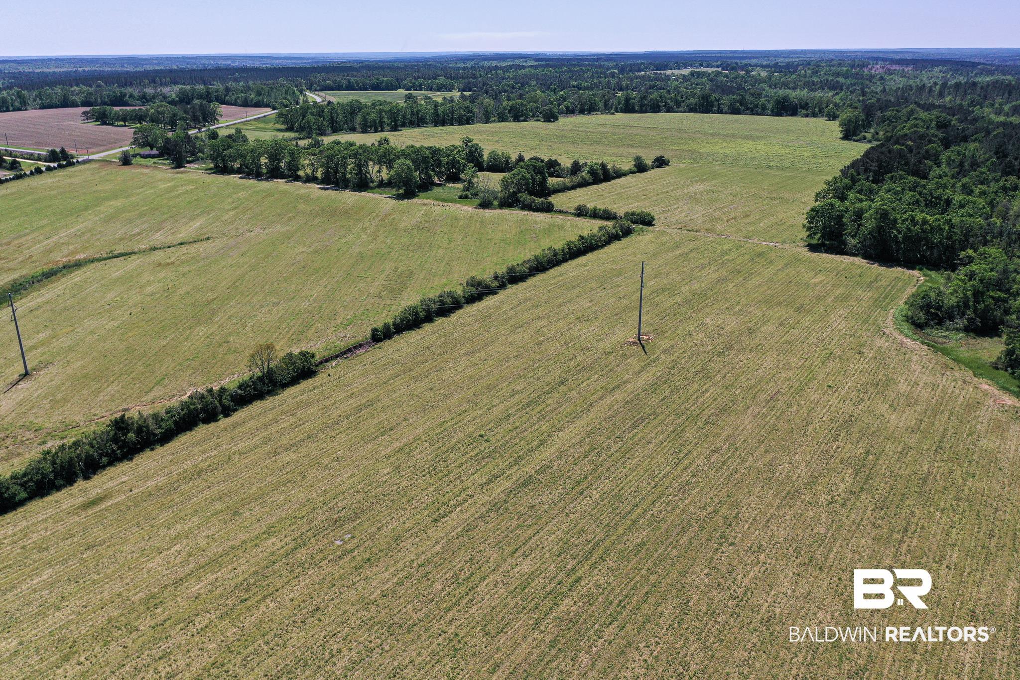 4801 North Pine Barren Road Century, FL 32535 - Photo 10 of 36