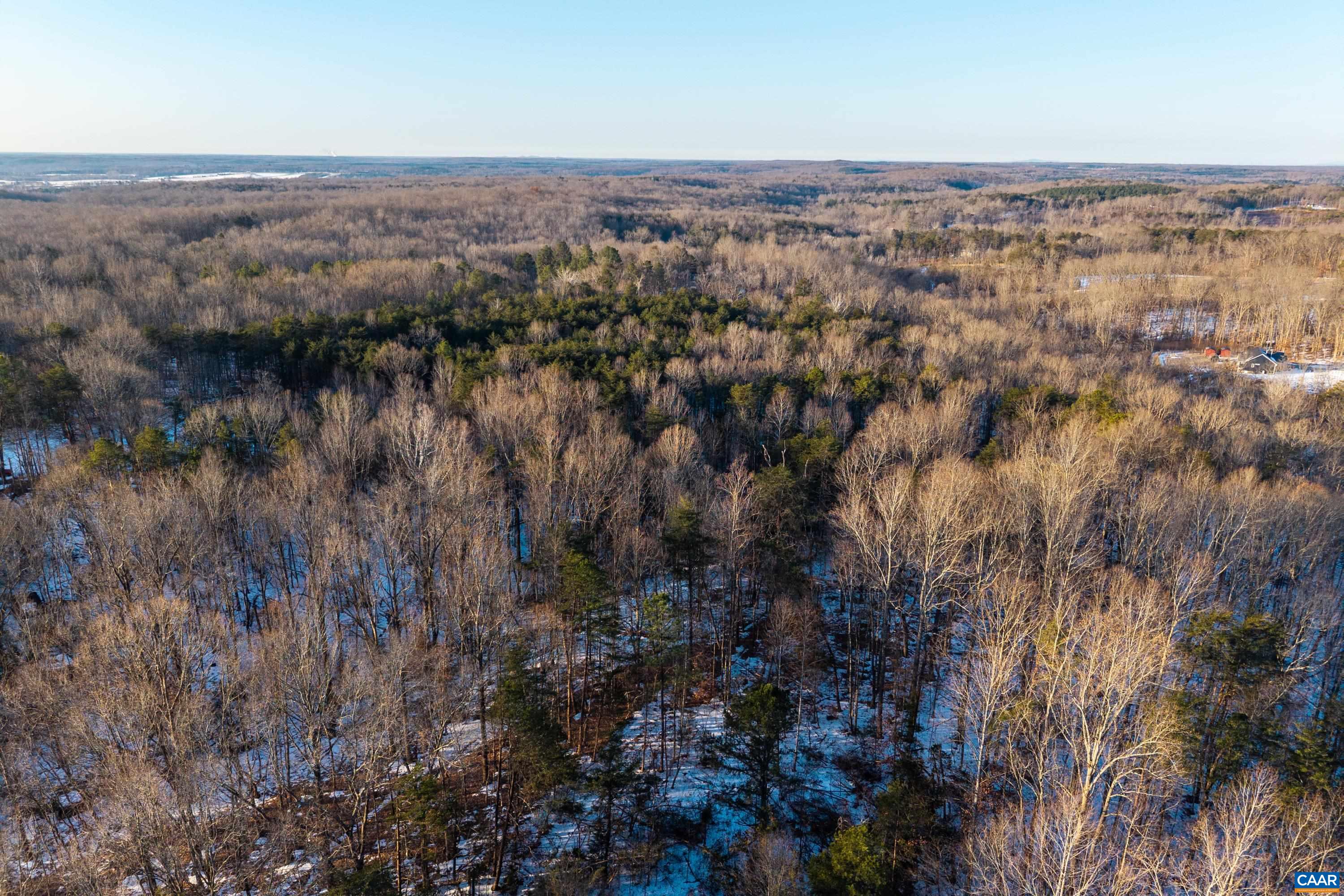 Tbd Miles Jackson Road Palmyra, VA 22963 - Photo 19 of 20